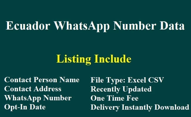 Ecuador WhatsApp Number Data